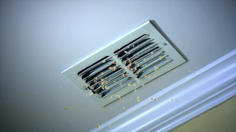 Ventilation Cleaning Services in Attica, MI