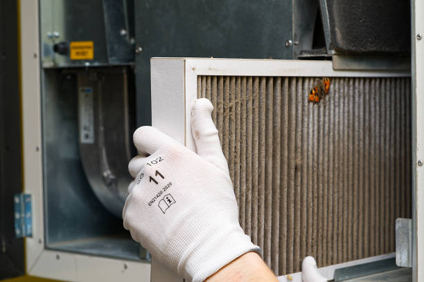 Best Air Quality Test  in Attica, MI